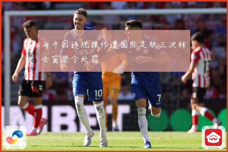 海牛因违规操作遭国际足联三次转会窗禁令处罚