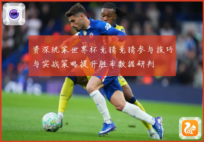 资深玩家世界杯竞猜竞猜参与技巧与实战策略提升胜率数据研判